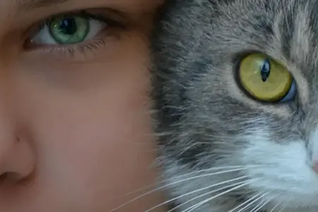 Откриване на магистралите на Румъния