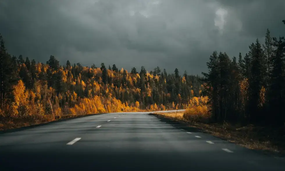 Prea multe benzi pentru drumuri noi în nordul Slovaciei? Avertisment de la experți cu privire la autostrada D3